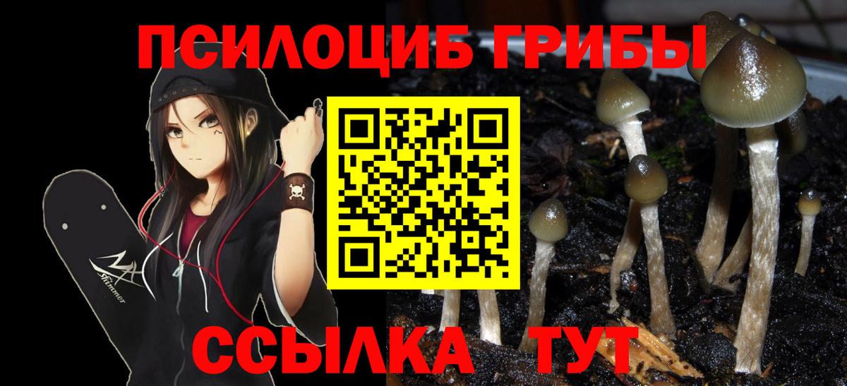 Острогожск  Галлюциногенные грибы Psilocybe  Вход с VPN 